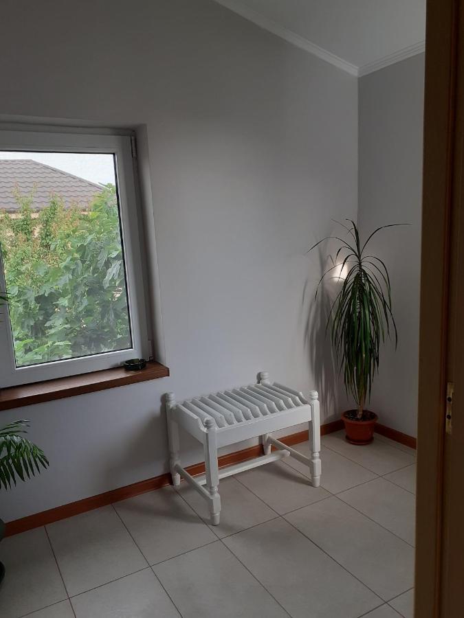 Muzicii 11 - Cozy Seaside Apartments Năvodari Exteriér fotografie